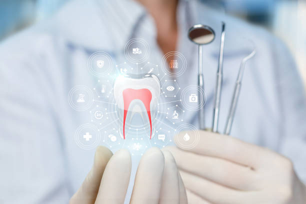  Crooks, SD Holistic Dental Services Pros